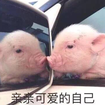 陳欣玲