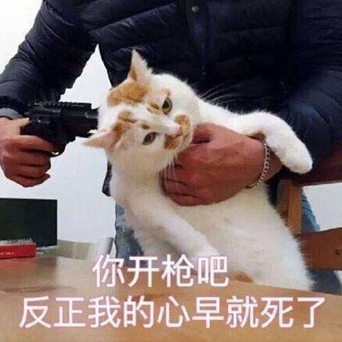 謝偉杰